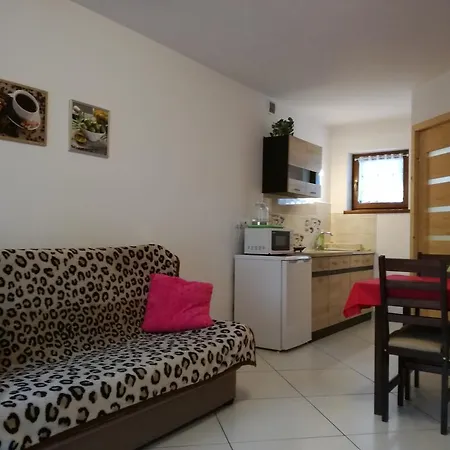 Apartamenty U Samkow Ζακοπάνε