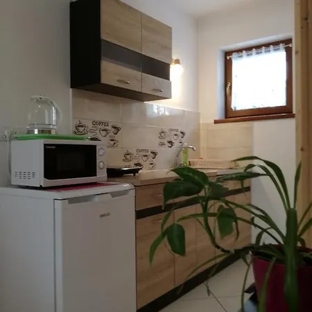 Apartamenty U Samkow